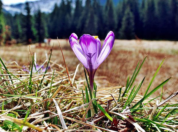 Gdzie jechać na ferie? Wybieramy nocleg