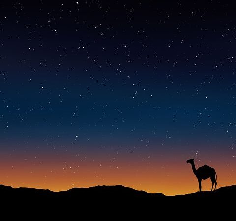 Wzorowa forma organizacji wyjazdów firmowych